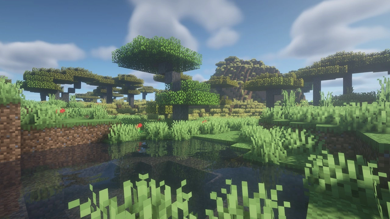 BSL Shaders Image 1